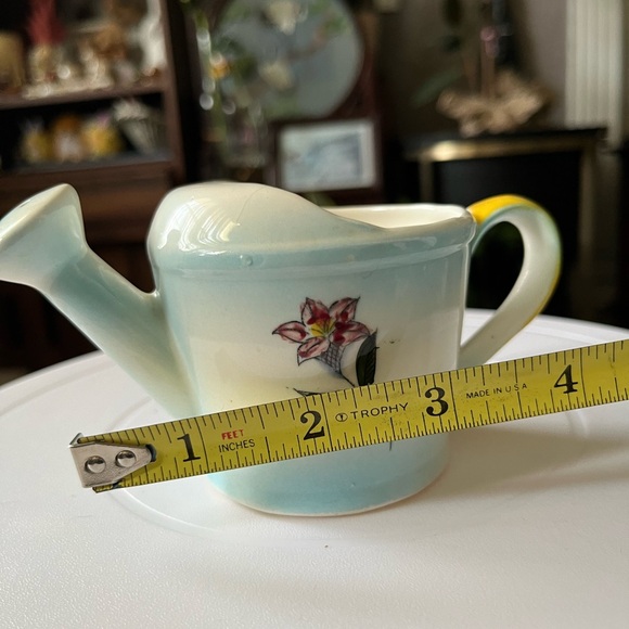 Mini Watering Pot - Picture 2 of 9